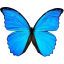 Kakazone_1760188773716.png