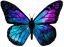 sadra123123_1760195568594.png
