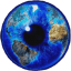 stephen_1782170658948.png
