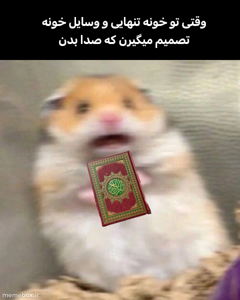 میم حالا فک کن منم یه آدم توهمی هستم (دیگه بدتر)