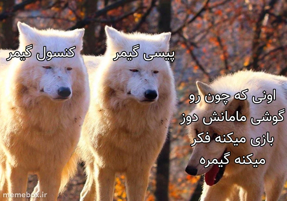 میم 