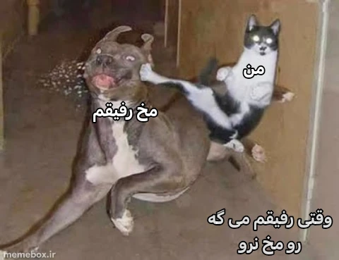 میم 