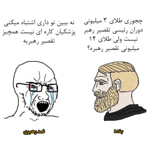 میم وایدکول سگتم