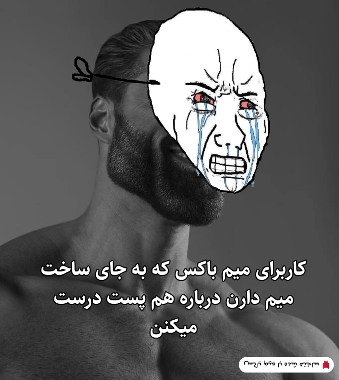 میم اخه چرا🗿