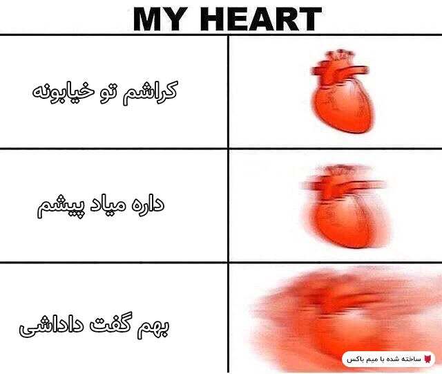 میم یک رویا🗿