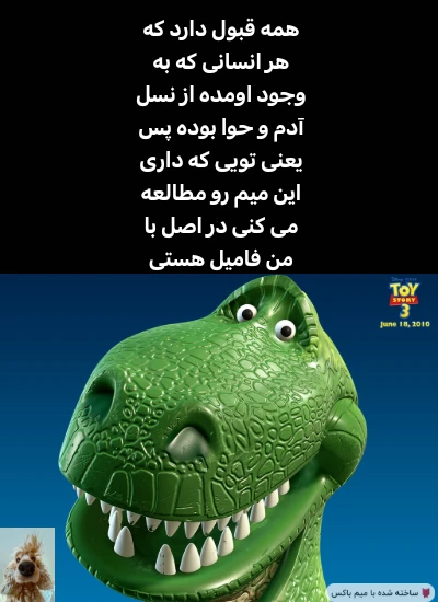 میم منطق زندگی