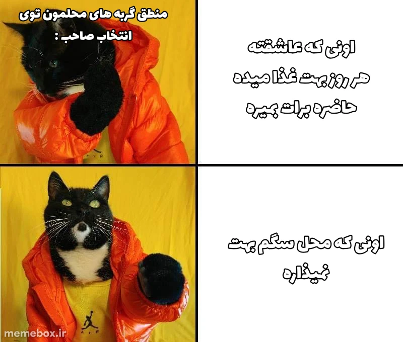 میم 🌚🍃