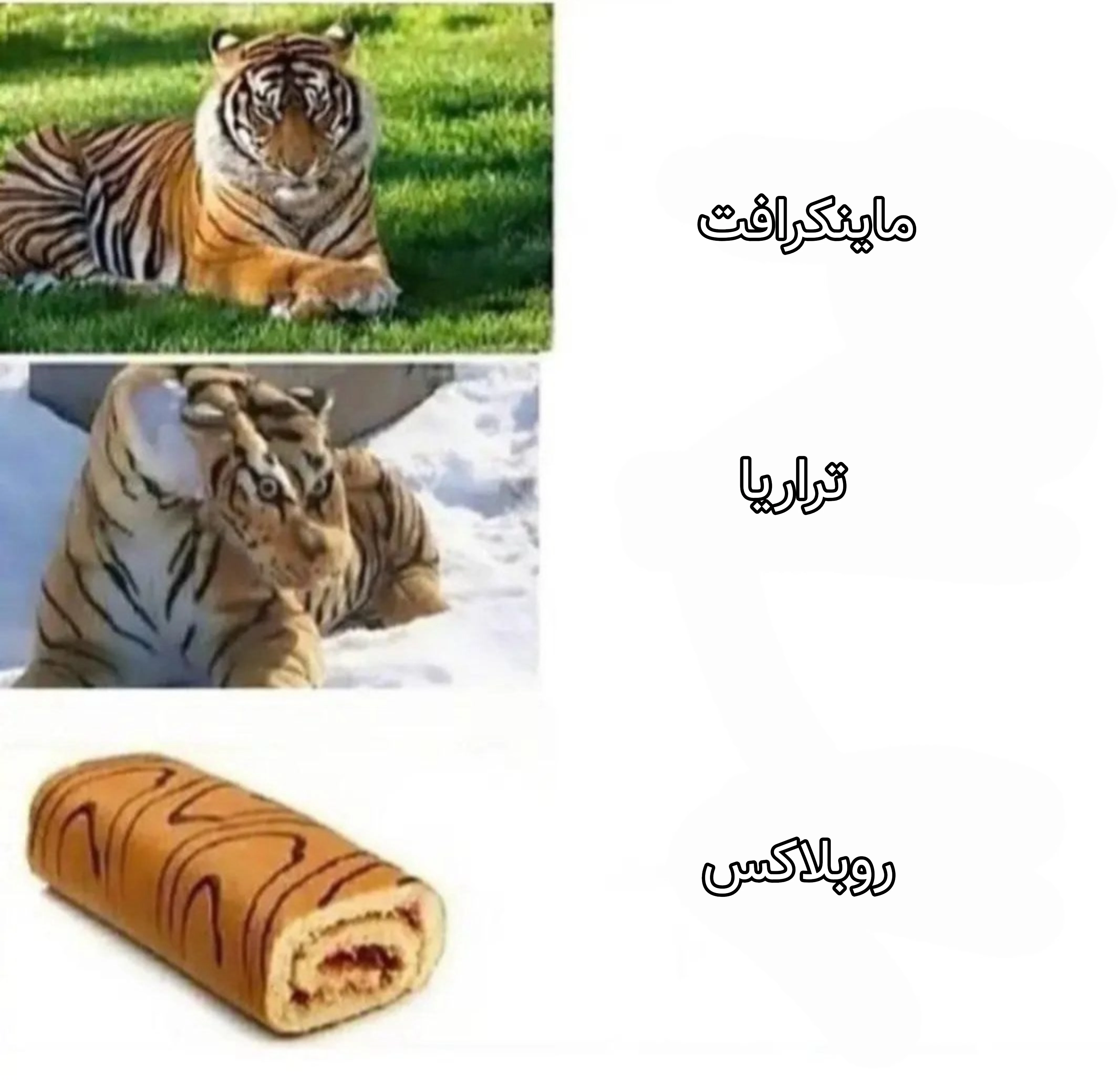 میم حق تا ابد