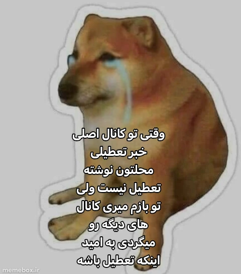 میم حق