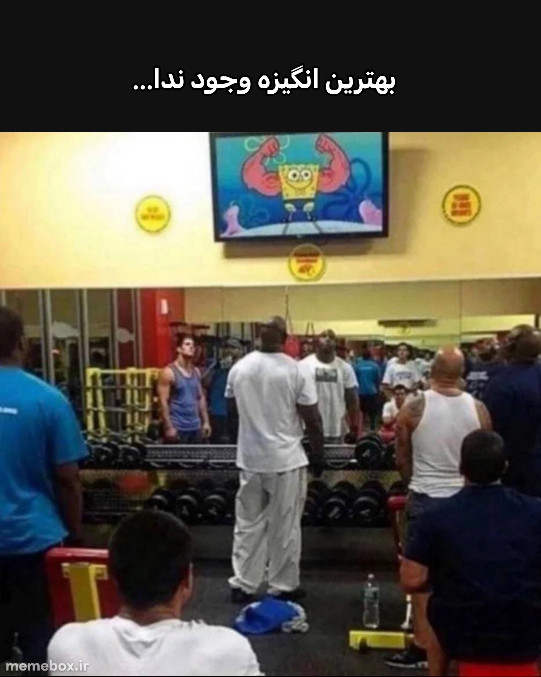 میم قالبش باحاله😂