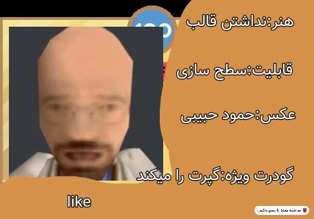 میم دیست میکنم🗿