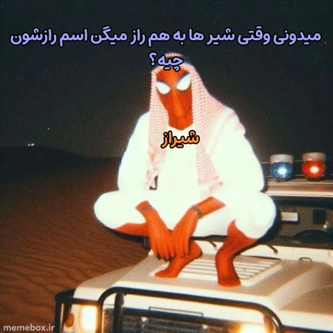 میم شیراز🍼🧙‍♂️