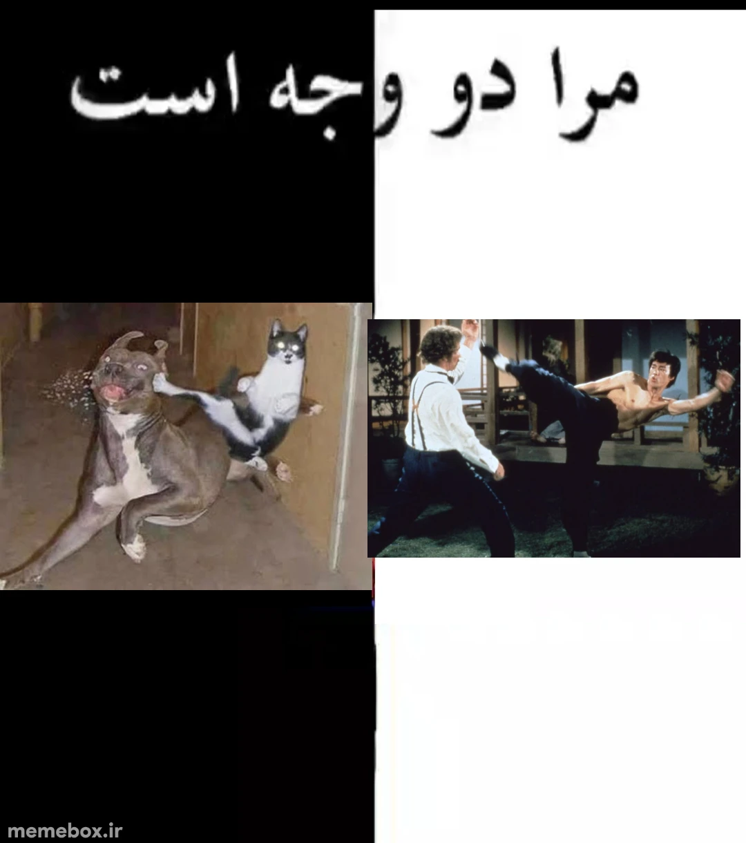 میم مرا دو وجه است