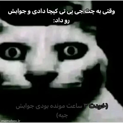 میم خو چرا اینکارو کردی گوگل