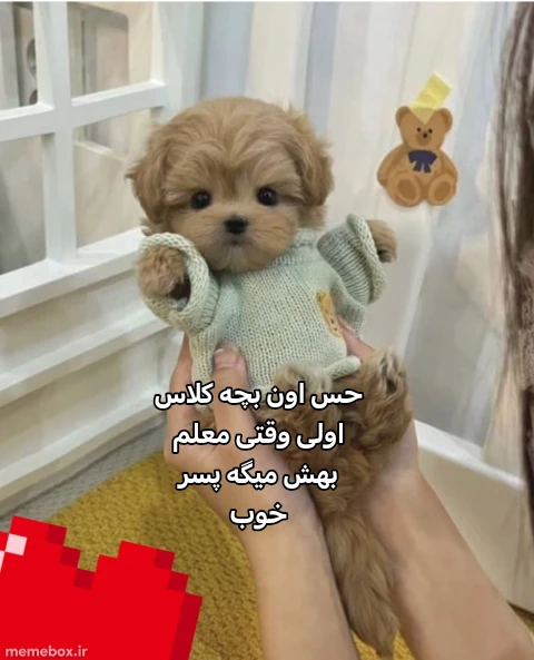 میم 