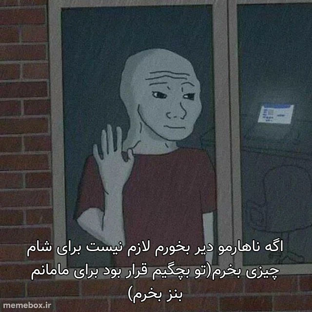 میم نو کپشن 🗿