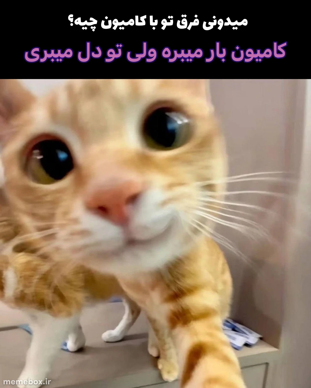 میم 