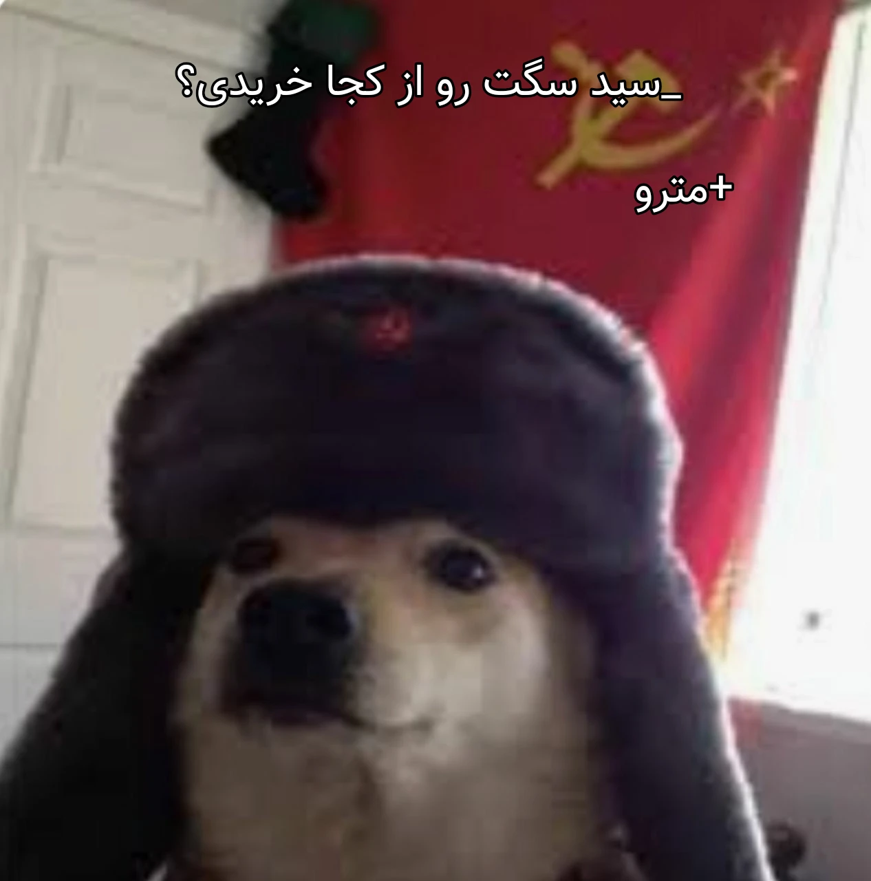 میم گودلاک سگ مترو که خودشم میرونه این میم سطحه🤡