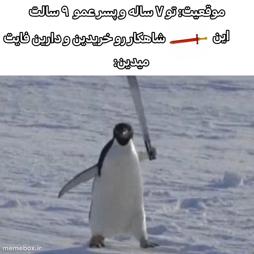 میم چقدر زود گذشت🫡