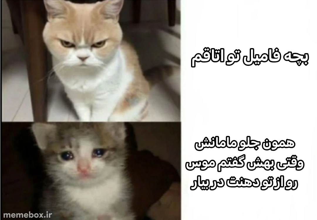 میم امان از دست بچه فامیل