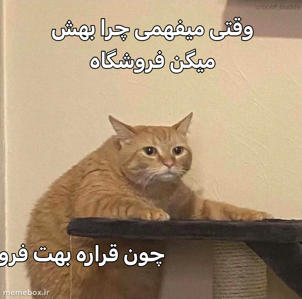 میم 