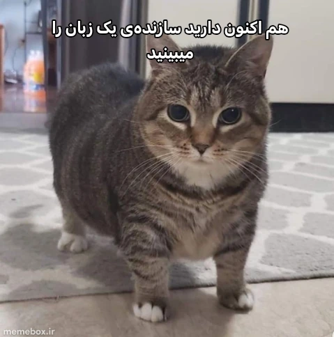 میم 
