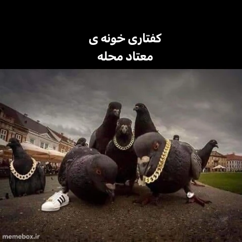 میم 