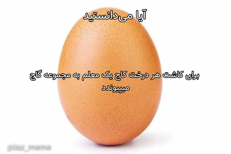 میم میم بسیار پر محتوا 🧠