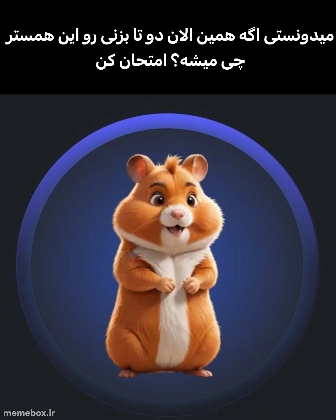 میم زدی؟