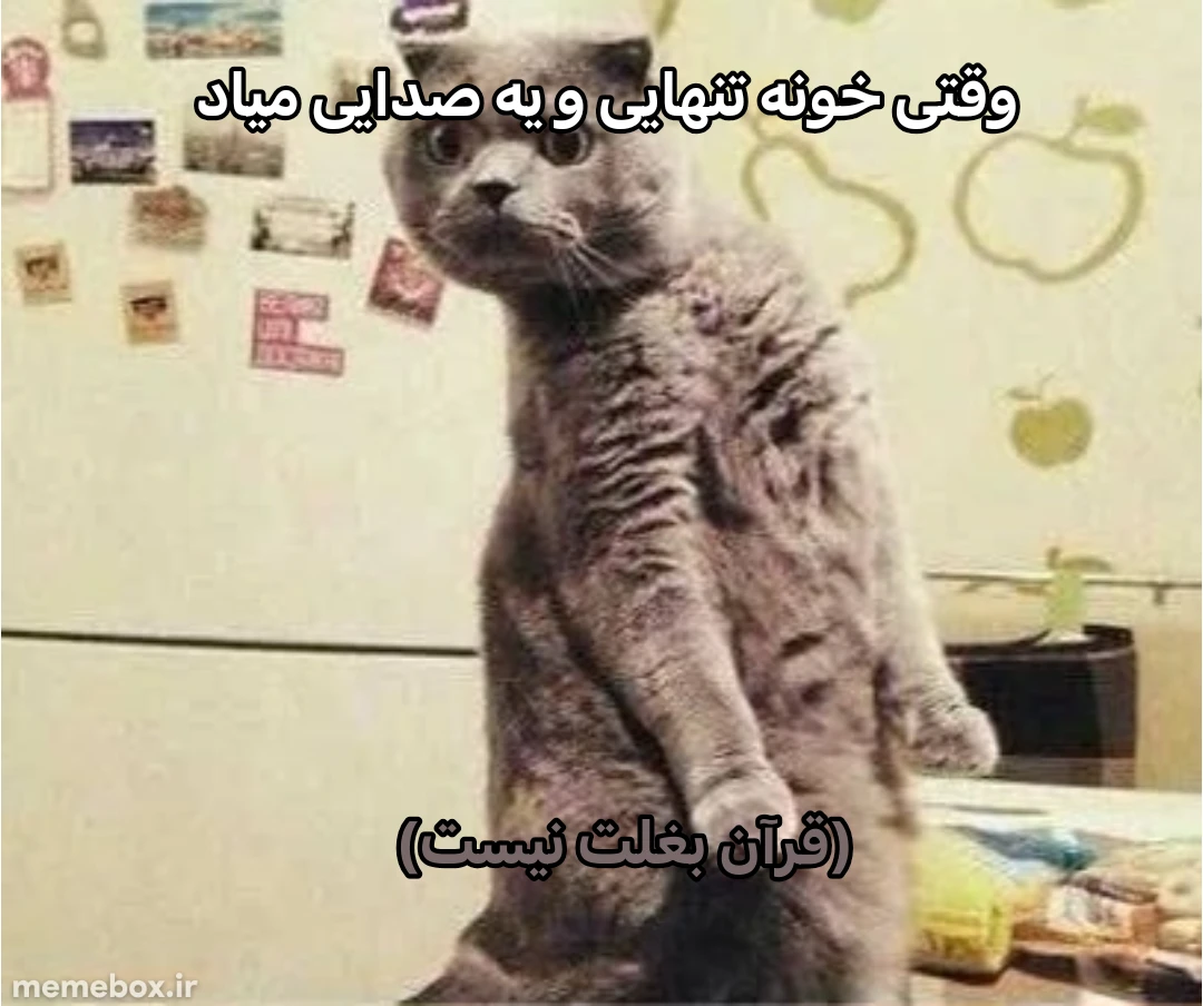 میم 