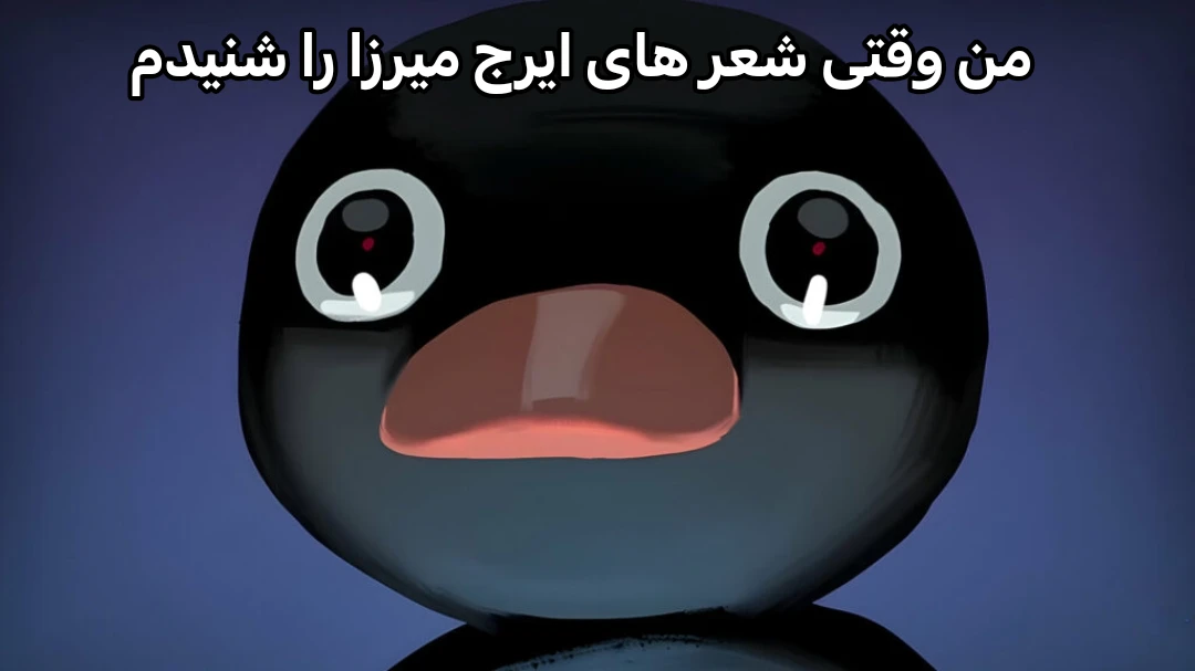 میم برای کسایی که نمی‌دونن ایرج میرزا کیه: ایرج میرزا یه شاعر قدیمیه که توی شعر هاش یک سری طنز های بد استفاده می‌کرده.