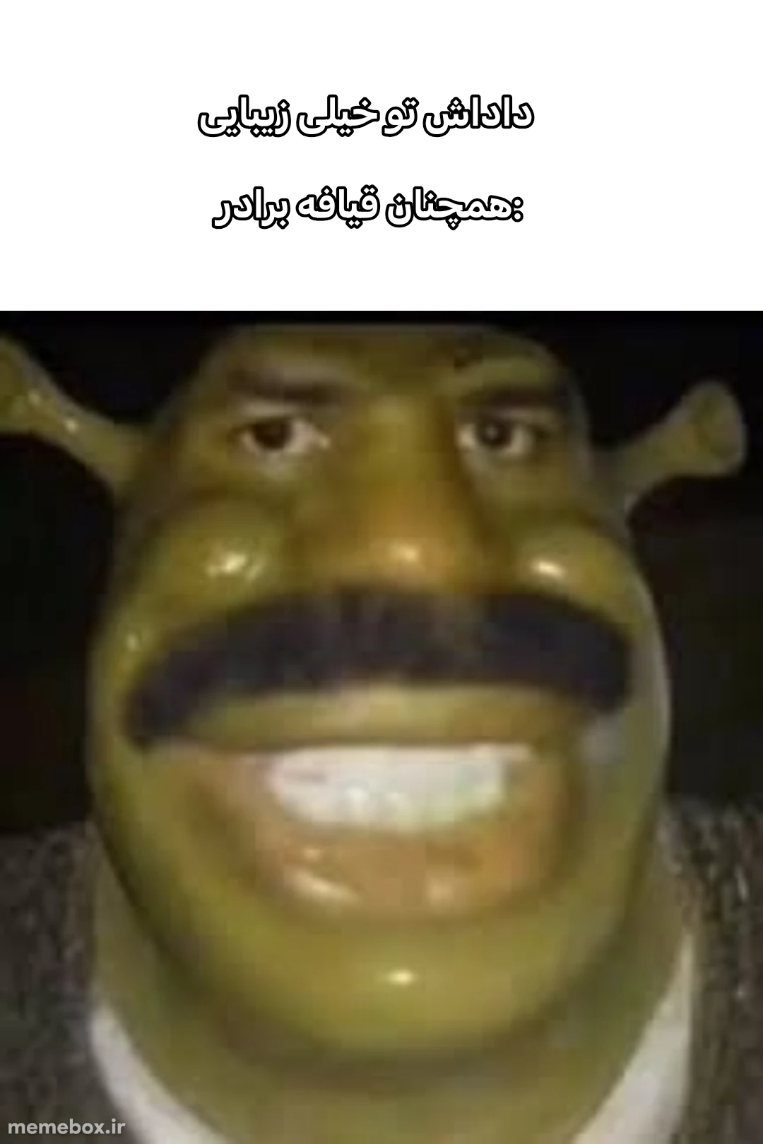 میم فعولویوت