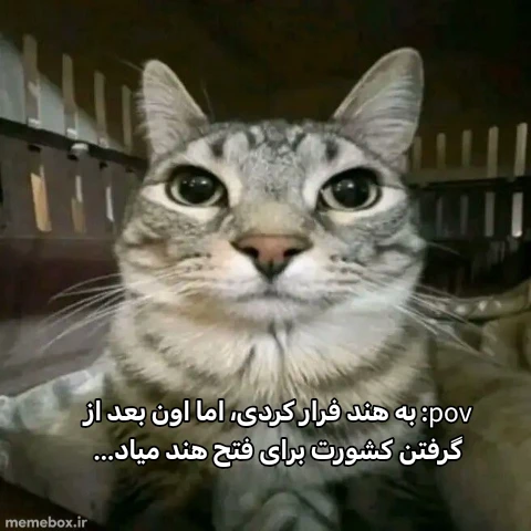 میم 