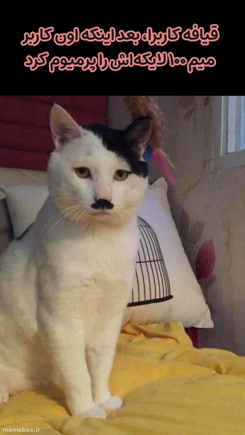 میم ملیجک😡