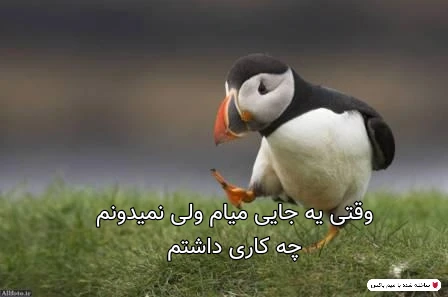 میم الحق...