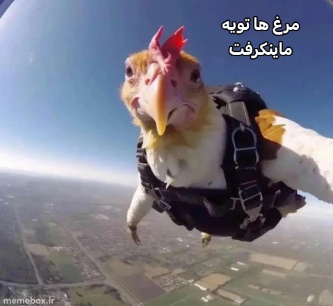 میم 