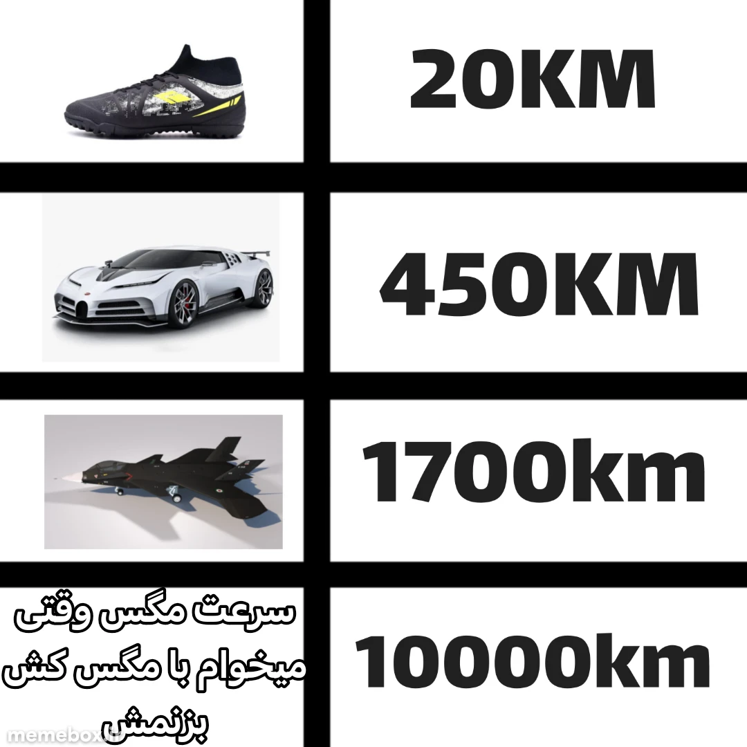 میم خداییش نشد یه بار مثل آدم مگس بکشی همیشه فرار میکنه