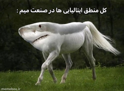 میم درسته میم کوتاهی بود ولی واقعا تو میم ساختن ایرانی ها اول 😎😎😎