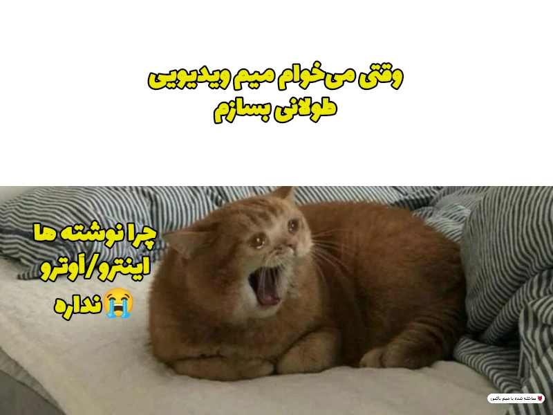 میم حاجی جان یه کاری بکن خیلی دارم فشاری میشم🥸