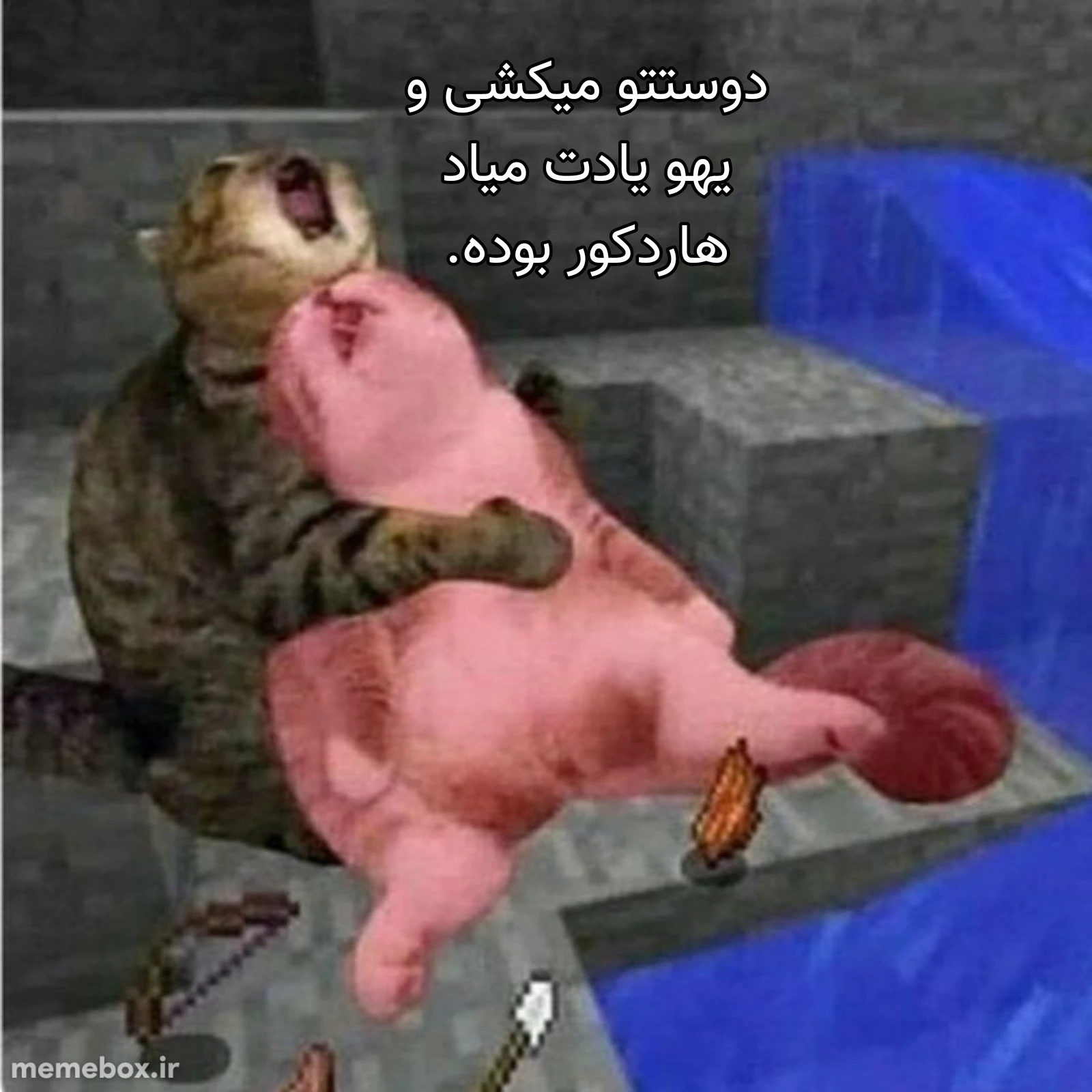 میم کیا اینو تجربه کردن؟ 😂