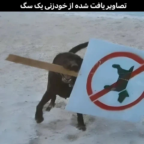 میم میم نساز دا🤡