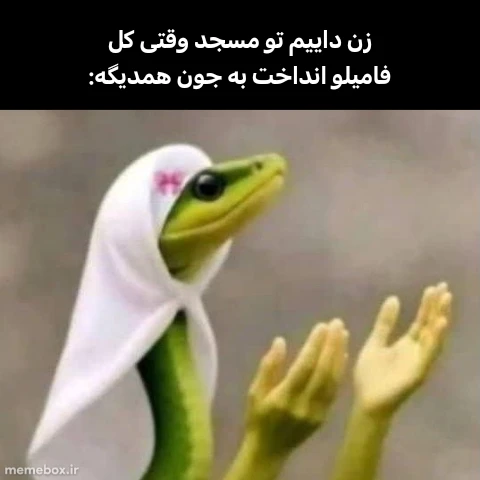 میم 👇👇👇👇👇👇 لینک رو بزنین