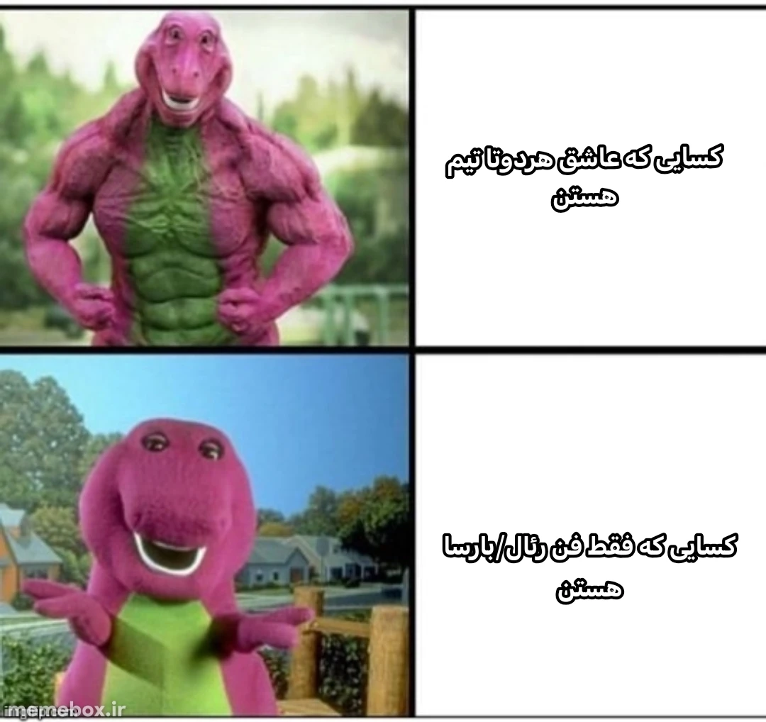 میم شما جزو کدام دسته هستید؟