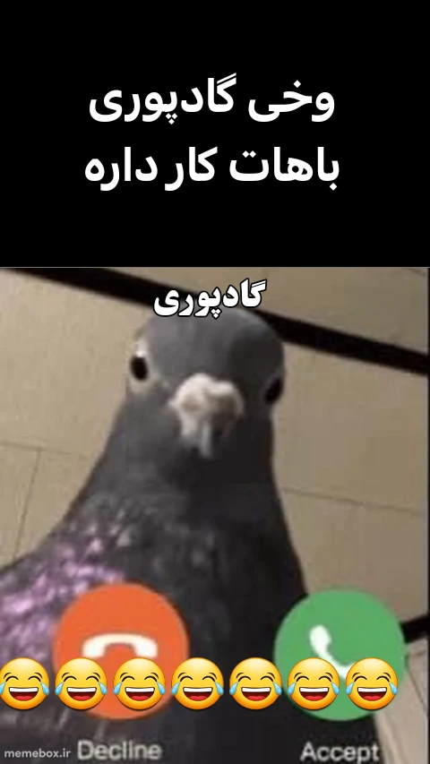 میم فاقد محتوای میم