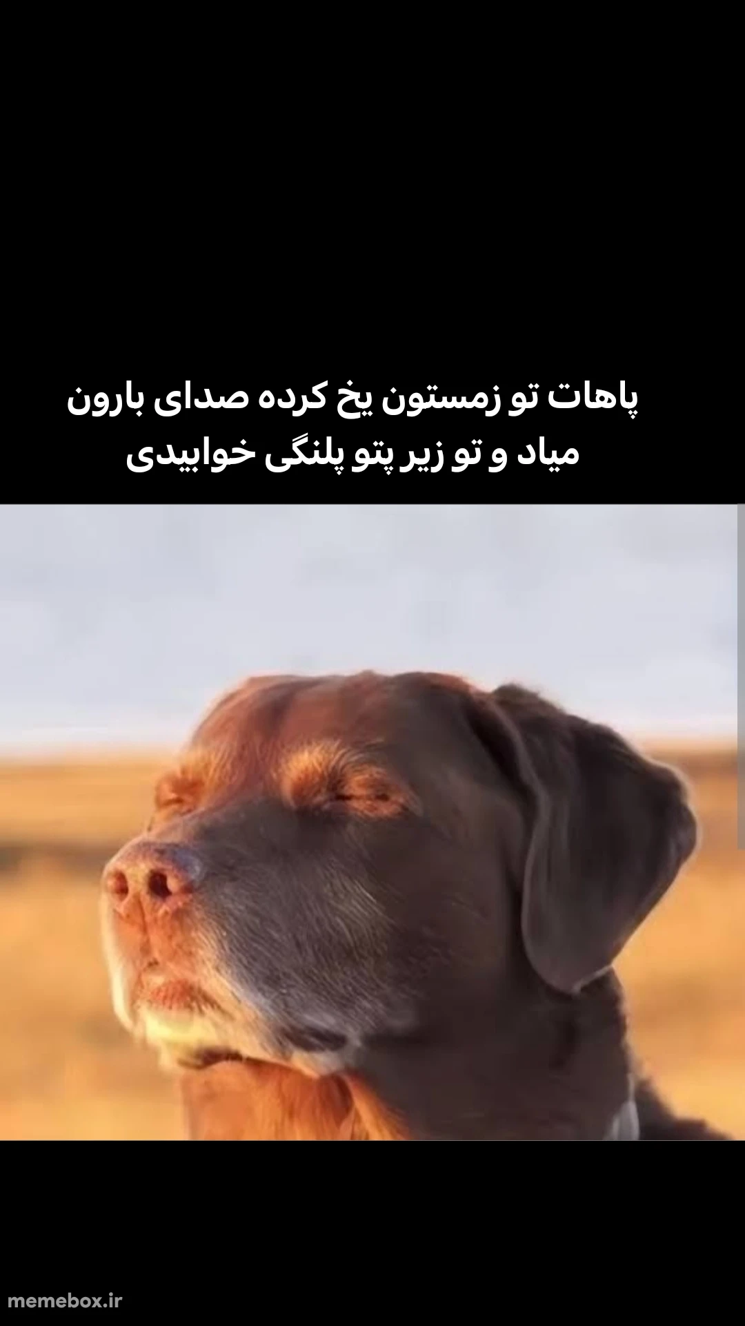 میم تجربه کردی؟