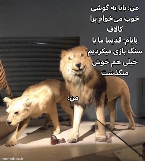 میم 