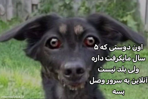 میم از جمله دوست من