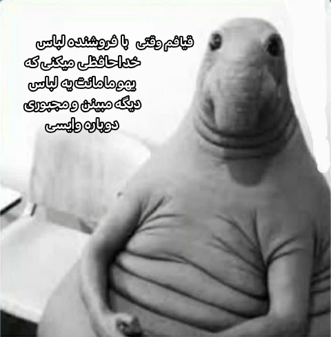 میم 