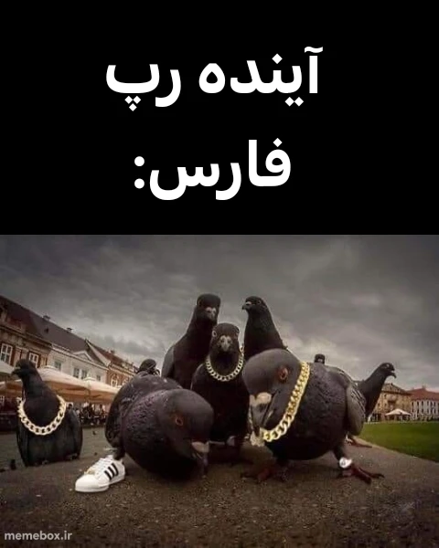 میم میم با سه کلمه🐦