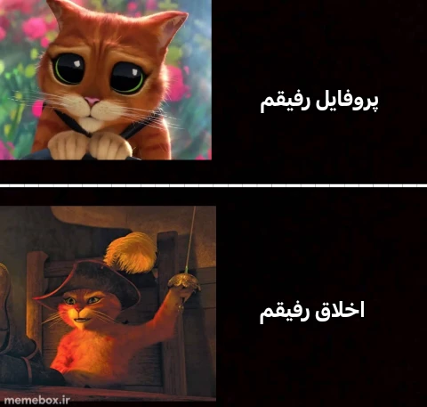 میم از اسکی بودن خبر ندارم
